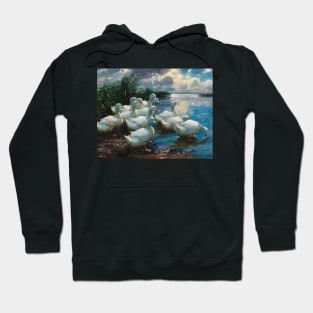 Ducks by a Lake by Alexander Koester Hoodie